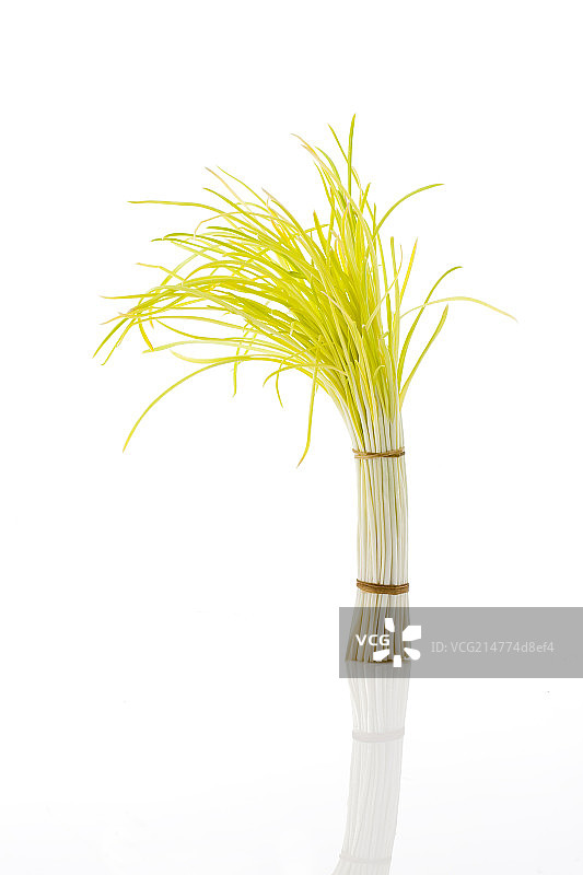 一捆蒜黄图片素材