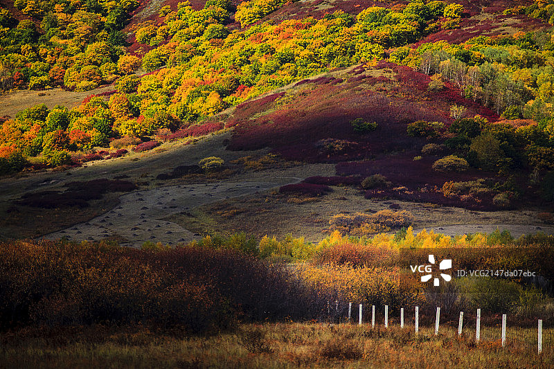 御道口坝上草原风光图片素材
