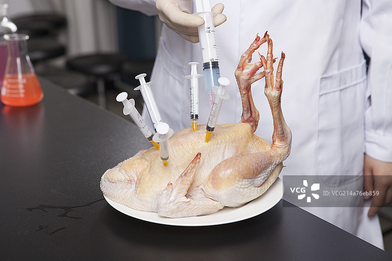 东方人用生鸡肉搞培育科研图片素材
