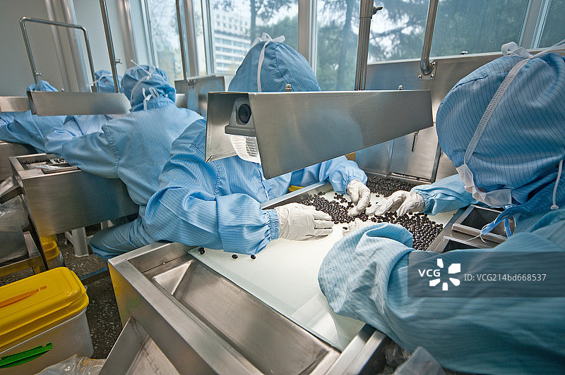 医药企业生产线，胶囊筛选图片素材