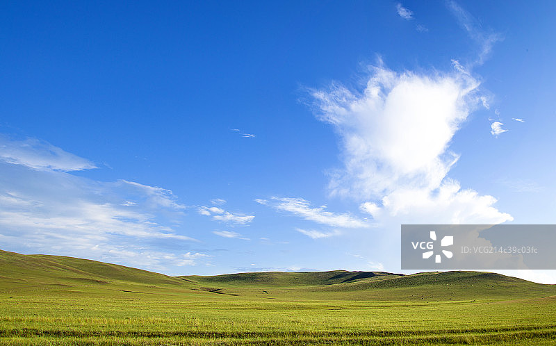 蓝天白云下的草原图片素材