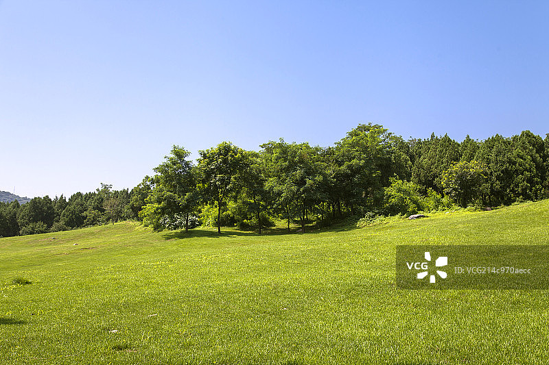 中国的稀树草原图片素材