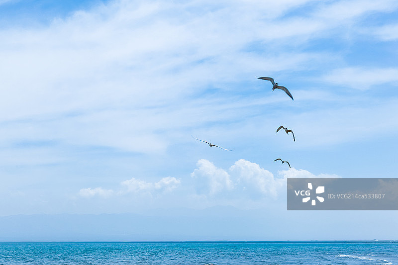 美丽的青海湖自然风光图片素材