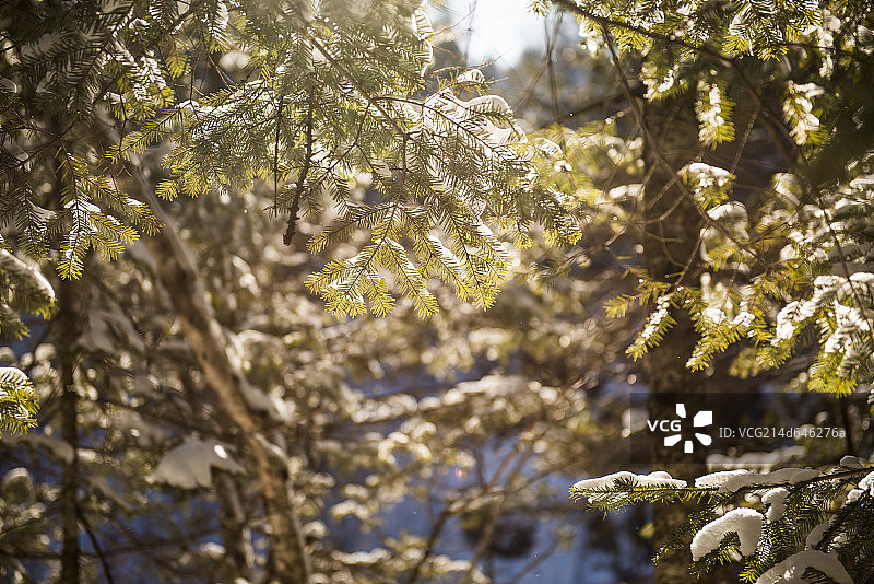 长白山大峡谷图片素材