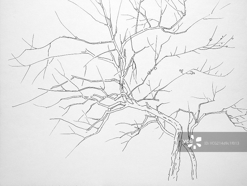 绘画手稿图片素材