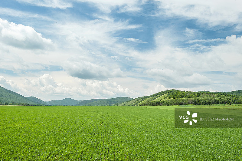 内蒙古阿荣旗田园风光图片素材