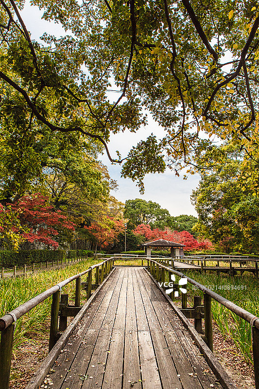 福冈之秋图片素材