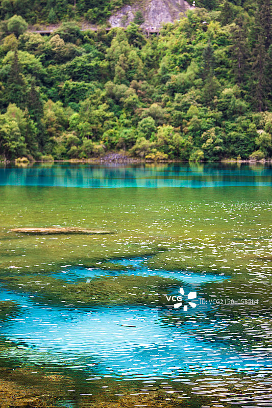 九寨沟绚丽的池水图片素材