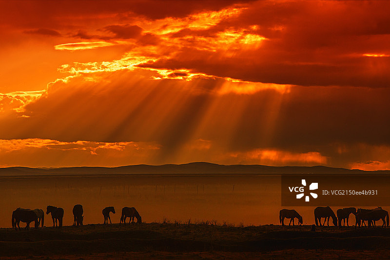 内蒙古草原晚霞图片素材