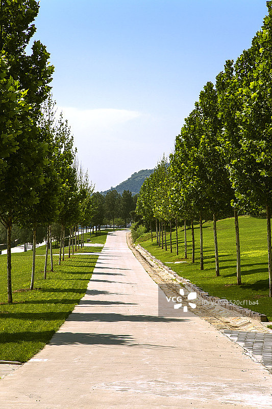 中国园林小路穿过树林图片素材