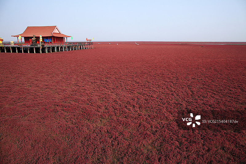 红色湿地图片素材