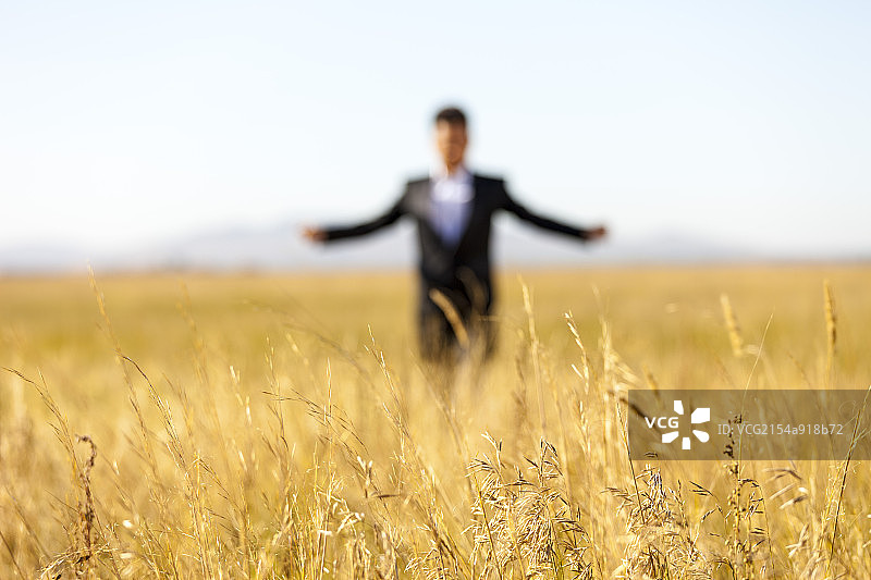 商务男士在麦田图片素材