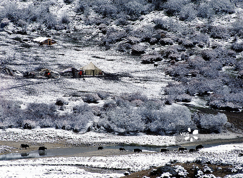 四川省稻城雪景图片素材