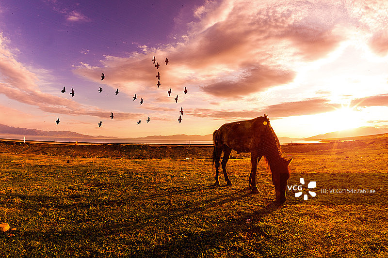 新疆风景图片素材