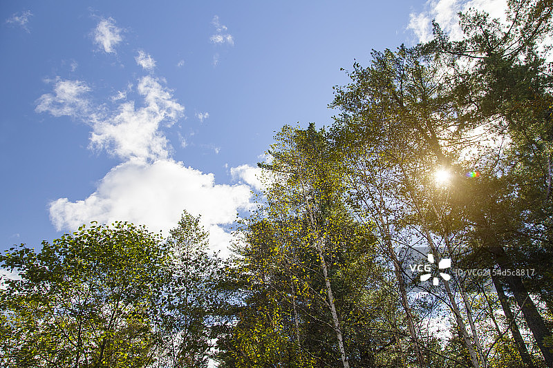 五营国家森林公园图片素材