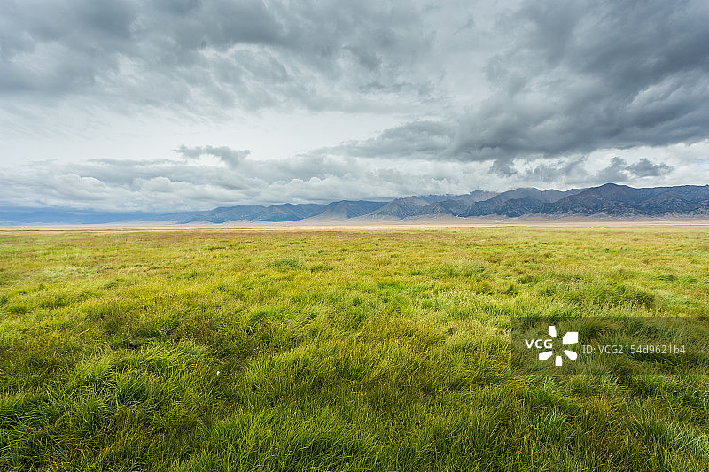 新疆大草原图片素材