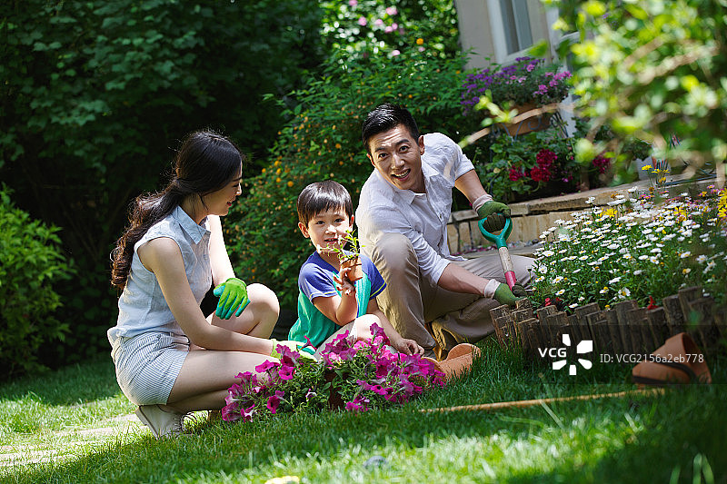 幸福的一家三口在花园图片素材
