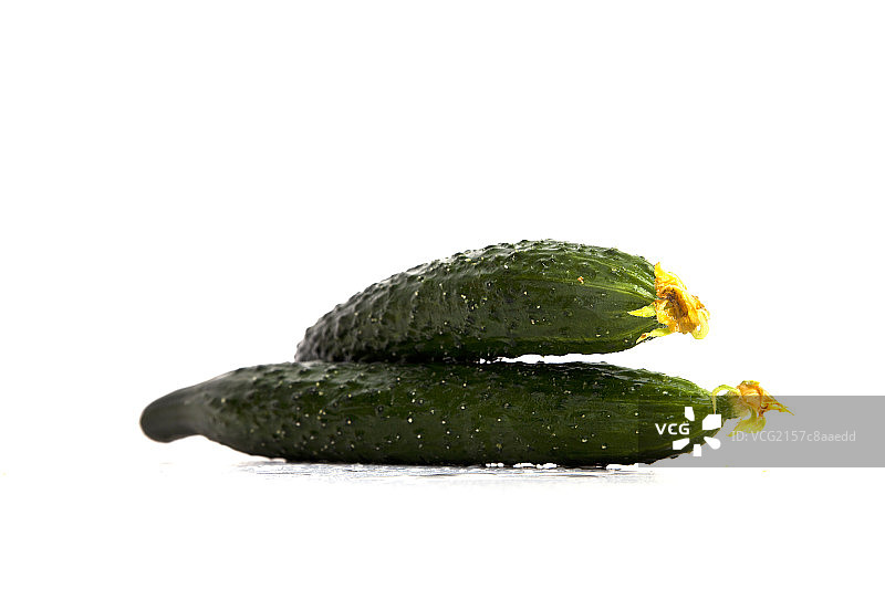 黄瓜图片素材
