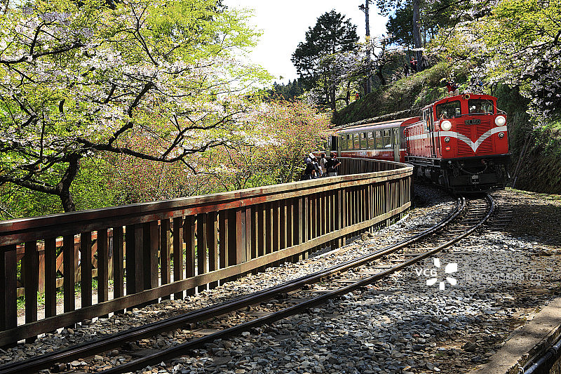 台湾阿里山自然风光图片素材
