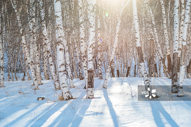 坝上冬日风光图片素材