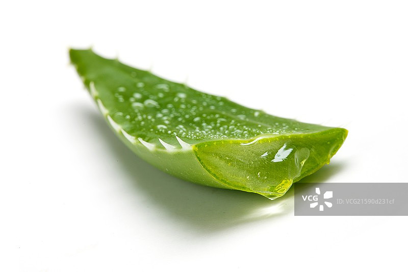 清新芦荟图片素材