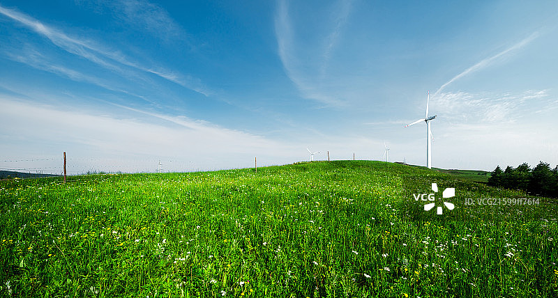 蓝天白云草地图片素材