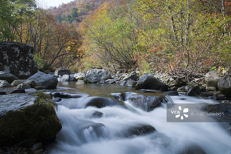 Shiga Plateau in autumn, Nagano, Japan图片素材