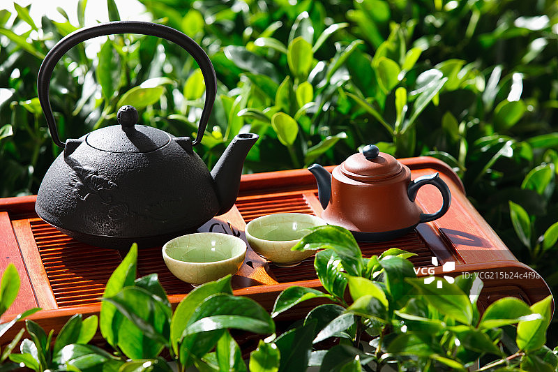 茶园里的茶具图片素材