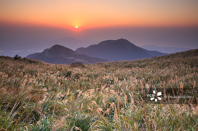 陽明山大屯山芒花夕陽图片素材
