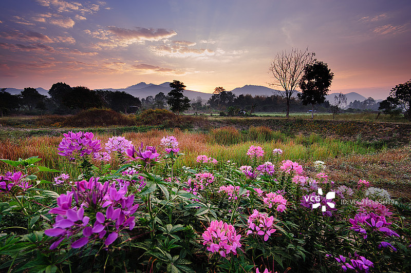 拜县日出横版图片素材