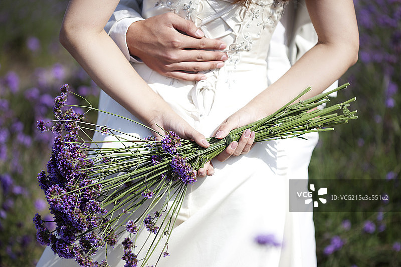 浪漫薰衣草婚纱情侣图片素材