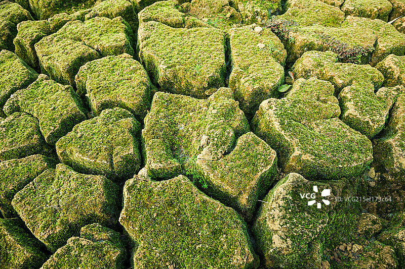 crack land图片素材