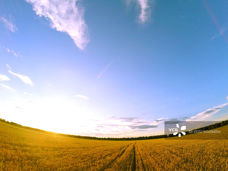 金色麦田图片素材