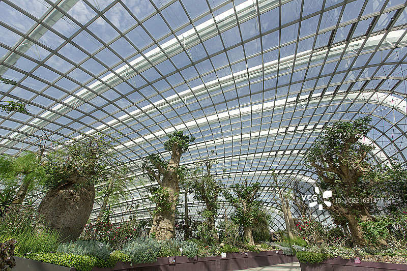 新加坡植物园图片素材