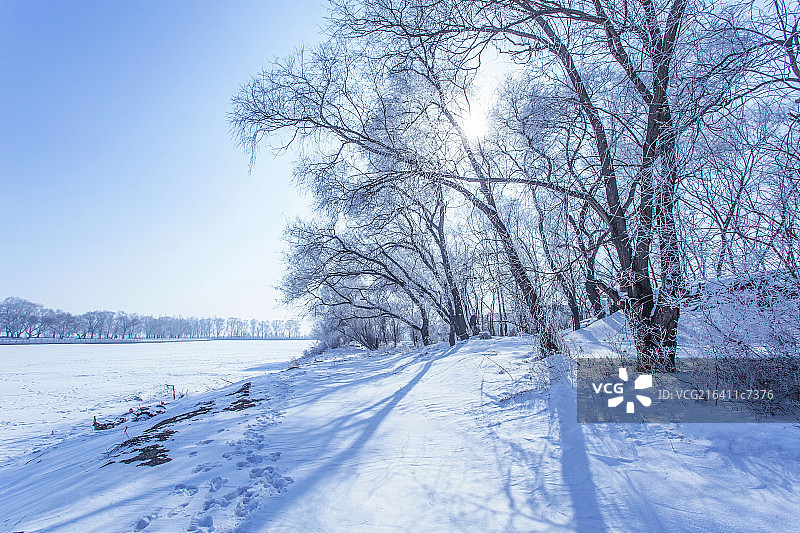 冬季雾凇风景图片素材