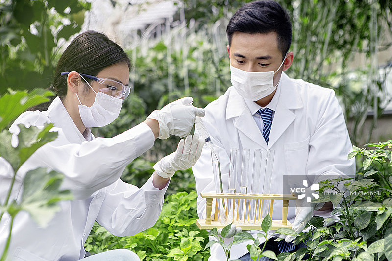 正在大棚里进行科学研究的青年男女图片素材