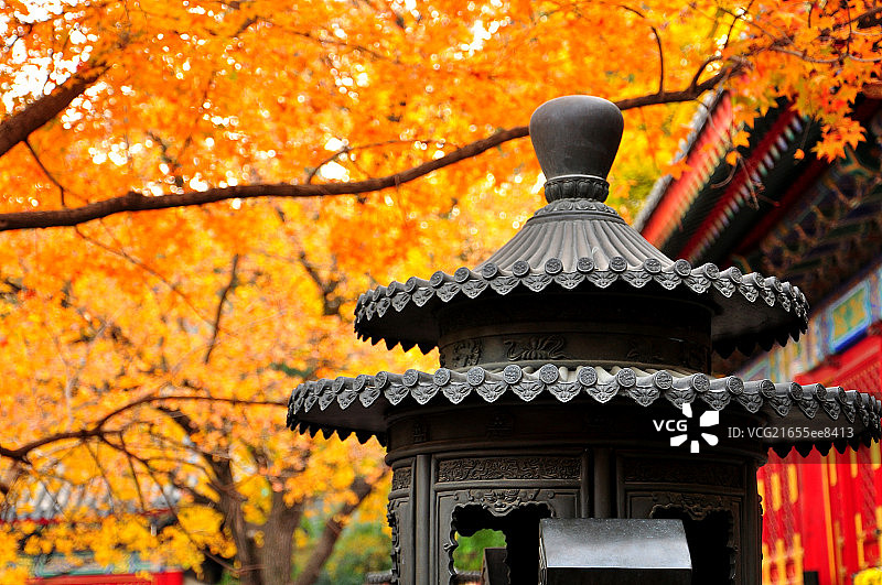 香山红韵图片素材