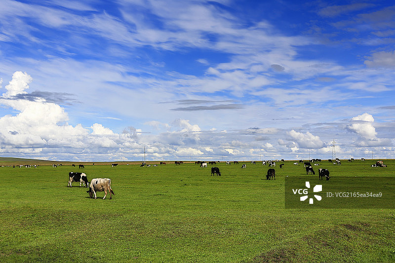 风景秀丽的呼伦贝尔海拉尔草原图片素材