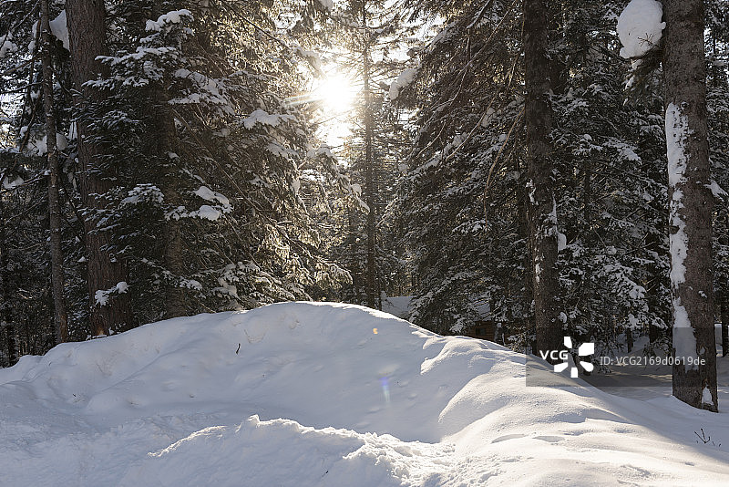 长白山大峡谷图片素材