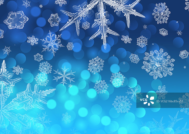 圣诞素材图片素材