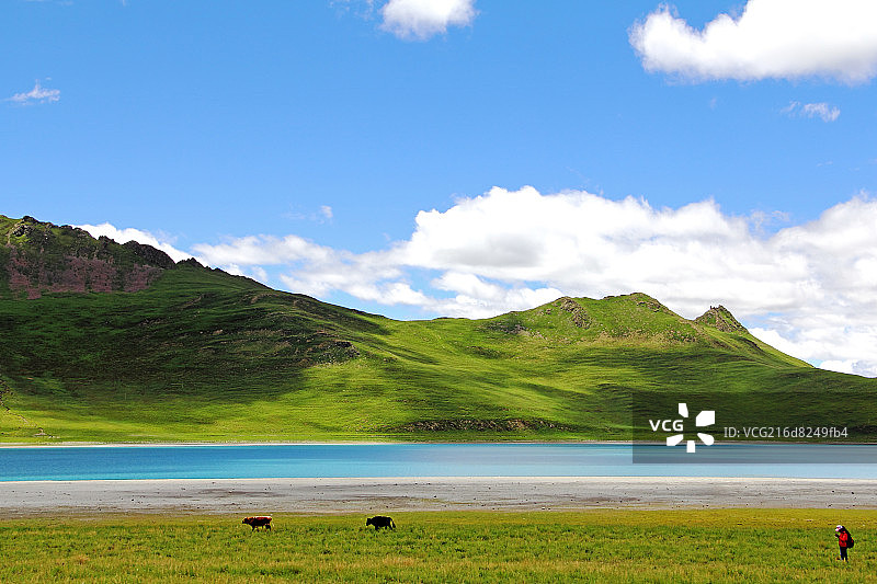 绿地山河流图片素材