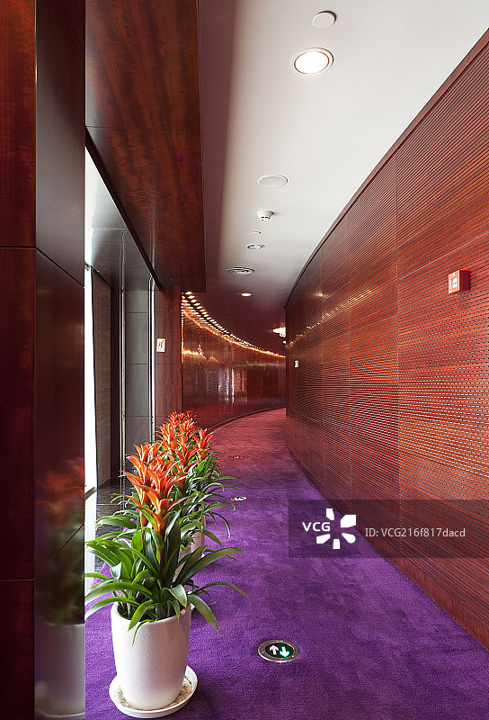 上海城市景观上海文化广场图片素材