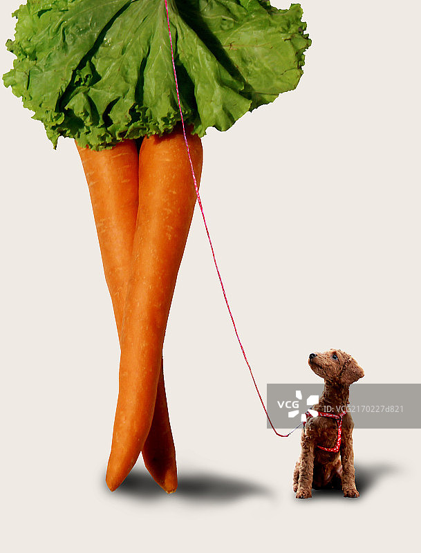 概念-蔬菜图片素材