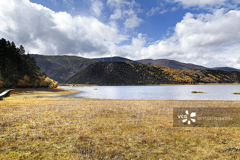 云南丽江普达措公园的碧塔海图片素材