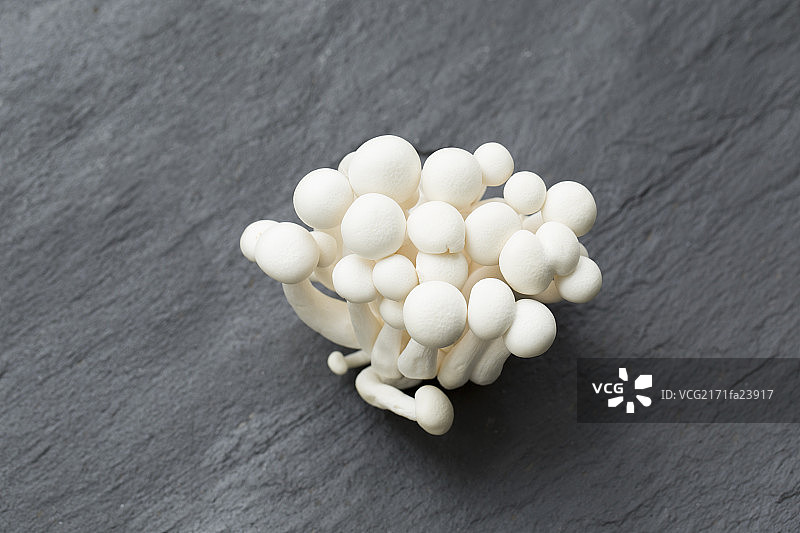 白玉菇图片素材