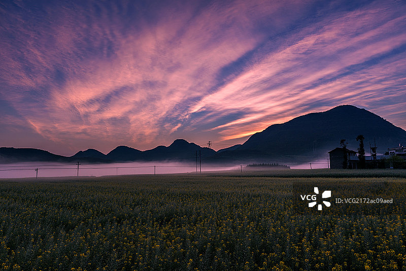 油菜花海日出风光图片素材