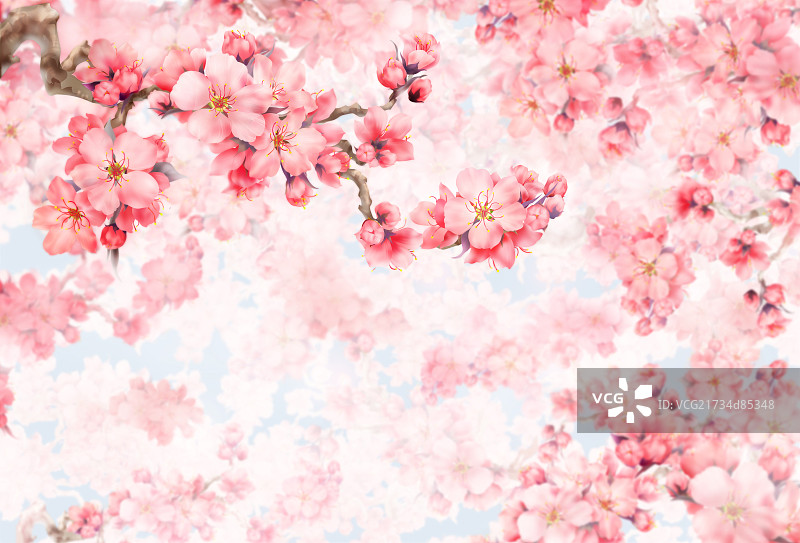 桃花盛开图片素材