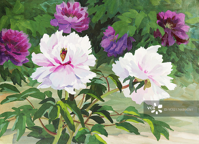 中国绘画图片素材