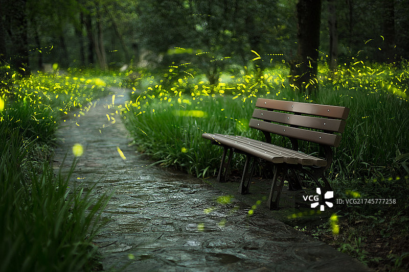 萤火之森图片素材