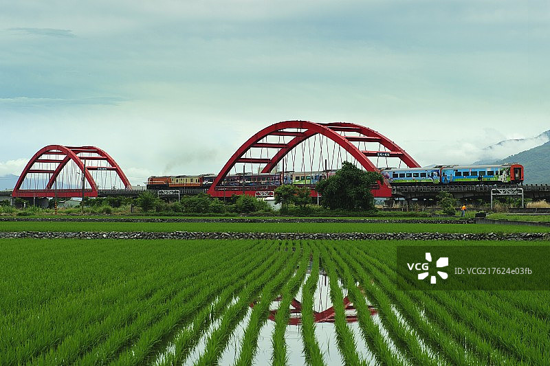 于莉图片素材